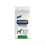 VETERINARY DIETS - URINARY LOW PURINE ADVANCE 12Kg