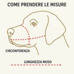 Museruola Confort Plastica Ferribiella