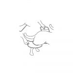 Supporto per zampe posteriori Ferribiella