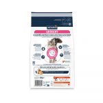 URINARY GATTO ADVANCE 8Kg